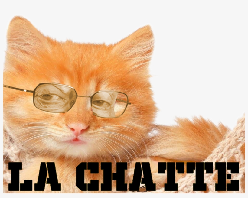 Larry Silverstein La Chatte, transparent png #5818226