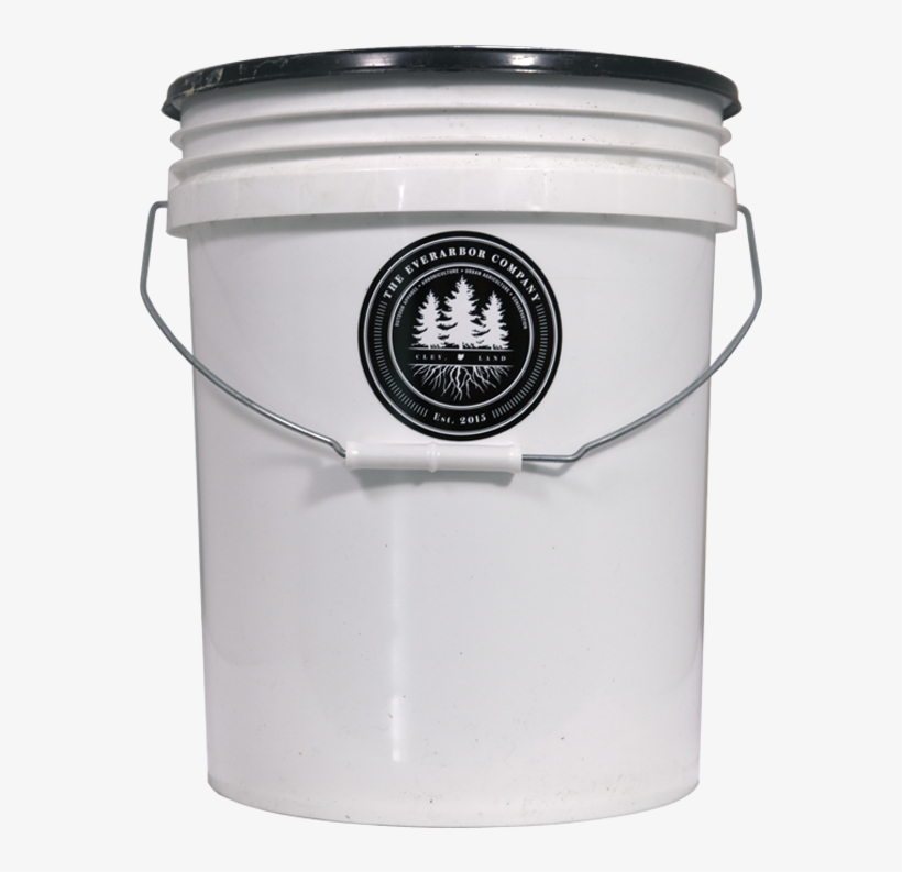 Everbrew, transparent png #5819348