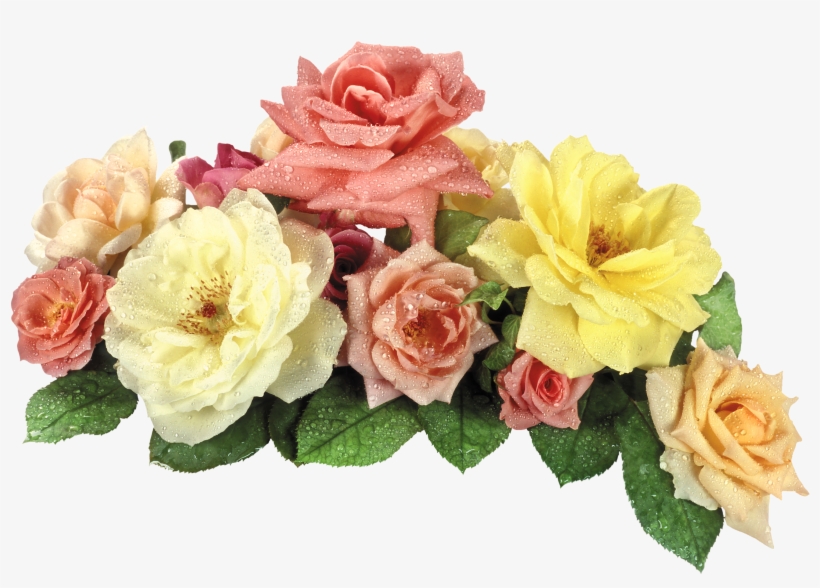 View Full Size - Png Format Flower Png Hd, transparent png #5819529