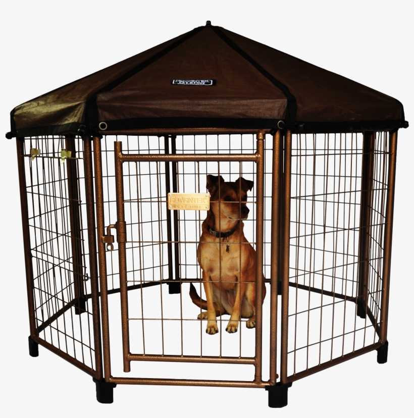 The Original Pet Gazebo - New Outdoor Dog Gazebo Shelter Kennel Pet Enclosure, transparent png #5820752