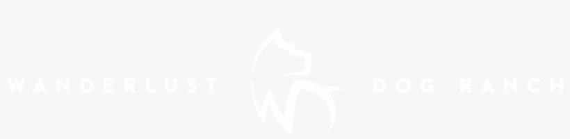 Accor Hotels White Logo, transparent png #5821518