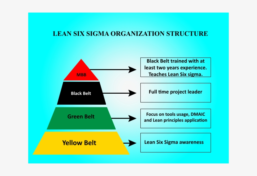 Lean Six Sigma Structure Pyramid - Lean Six Sigma Green Belt, transparent png #5822685