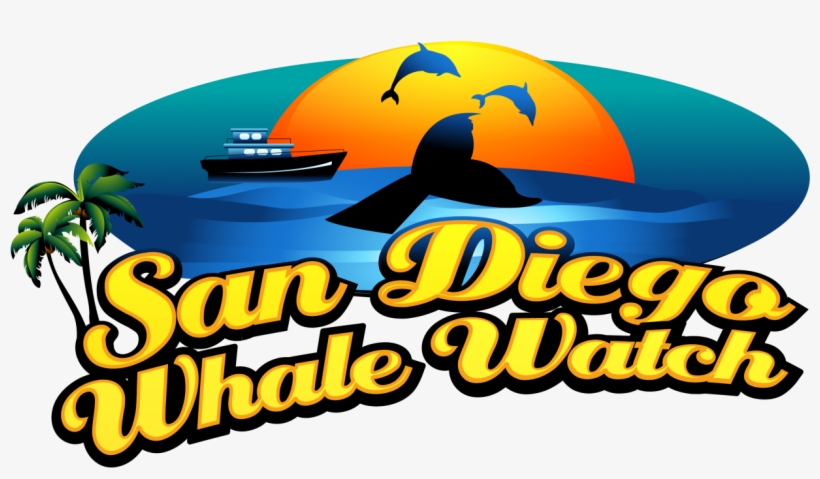 San Diego Whale Watch, transparent png #5826215
