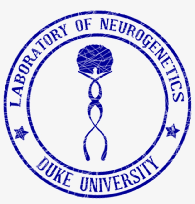 Long Logo - Division Of City Schools Valenzuela Logo, transparent png #5826382