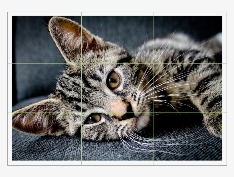 Camera Shake Is One Of The Biggest Bugbears For Photographers, transparent png #5826438