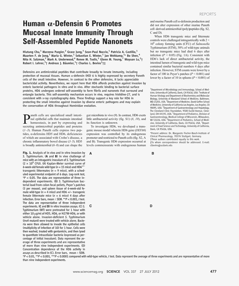 Document, transparent png #5826738
