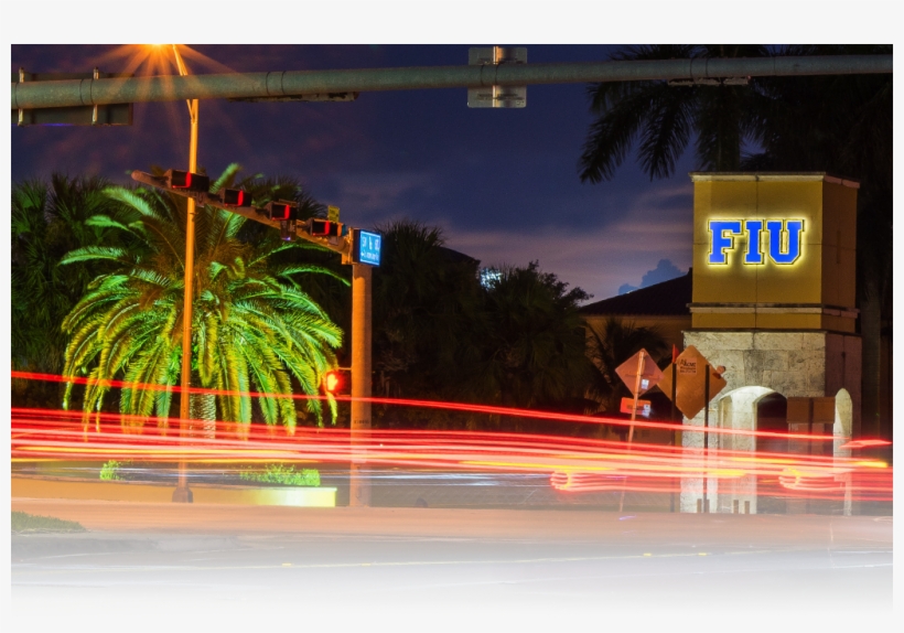 Background - Attalea Speciosa, transparent png #5827139