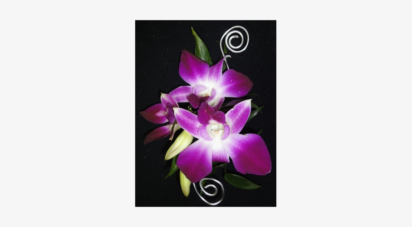 More Views, transparent png #5829745