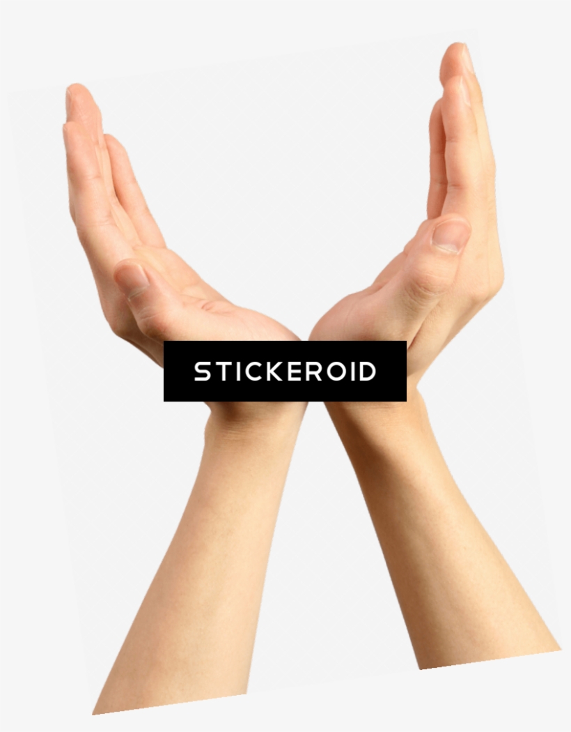 Holding V Hands - Flash Furniture Black Fabric And Mesh Task Chair With, transparent png #5830292