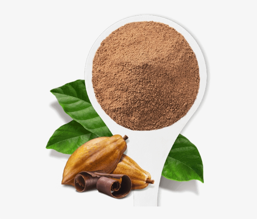 Globe For The Highest-quality Organic Superfoods To - Corporate Identity, transparent png #5833001