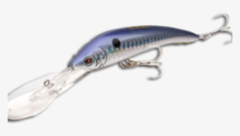 Beloniformes, transparent png #5833335