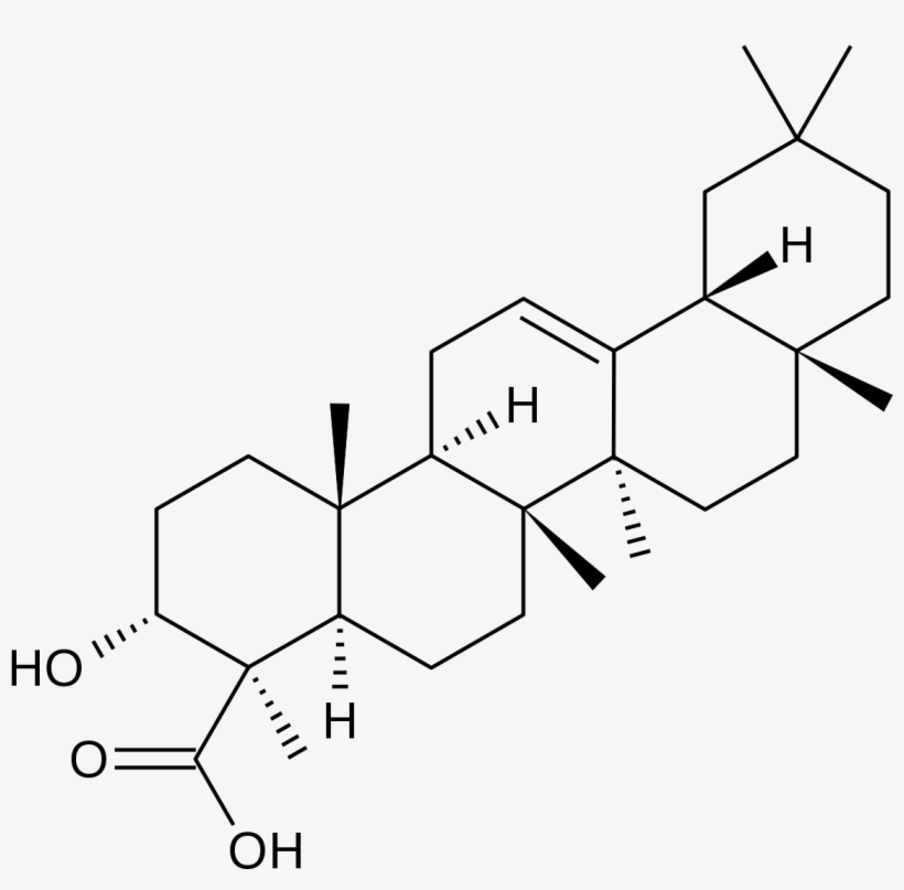 Boswellic Acid, transparent png #5834029