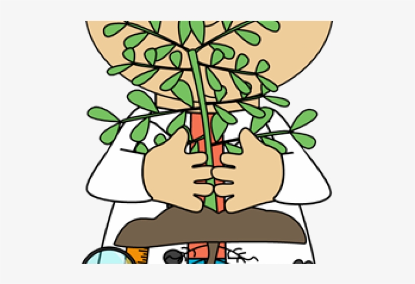 Plant Science Cliparts - Metabólitos Secundários Em Plantas, transparent png #5835466