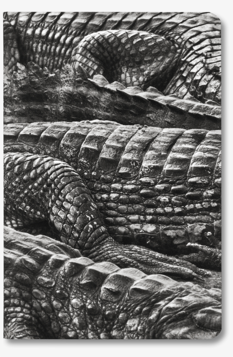 Blank Notebook, Pocket Size - Sebastião Salgado, transparent png #5835995