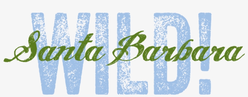 Lpfw - Bestiaire, transparent png #5836299