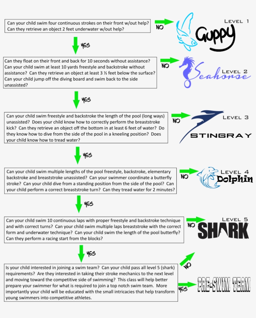 Spring Seesion - Number, transparent png #5836525