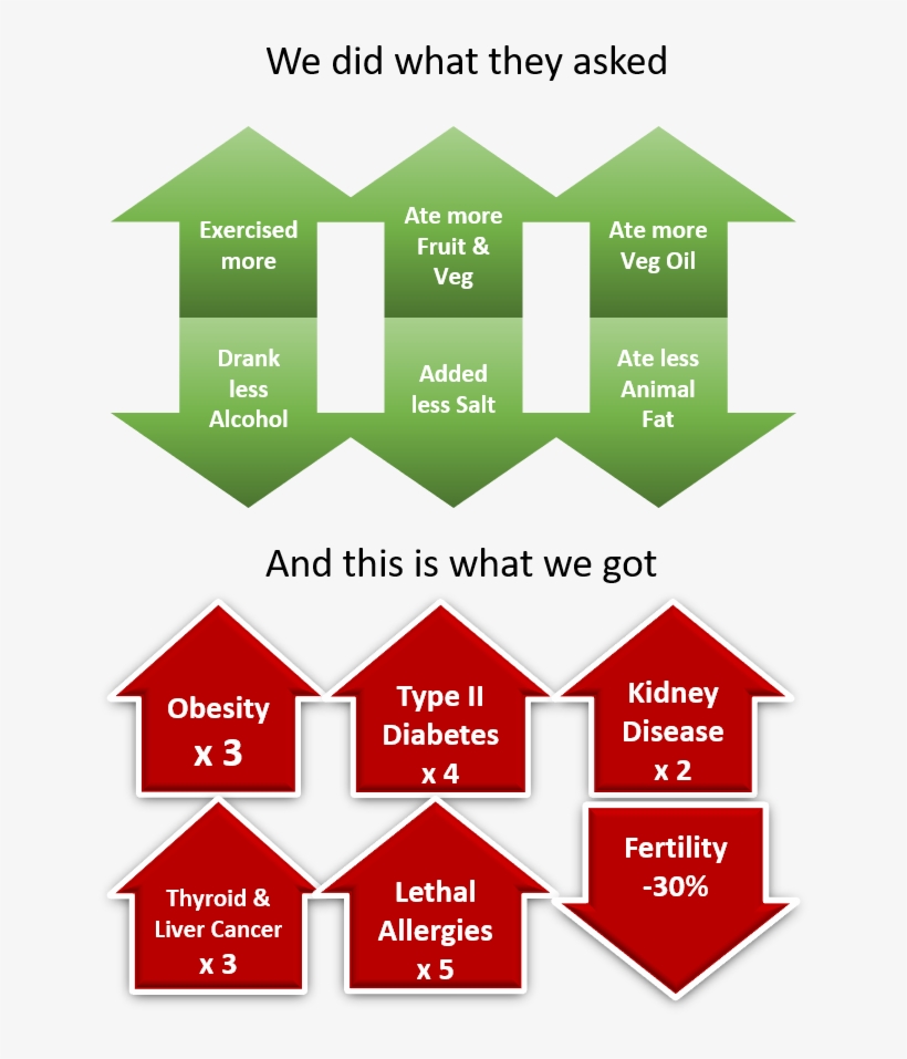 How The Healthy Eating Guidelines Have Destroyed Our - Health, transparent png #5836830