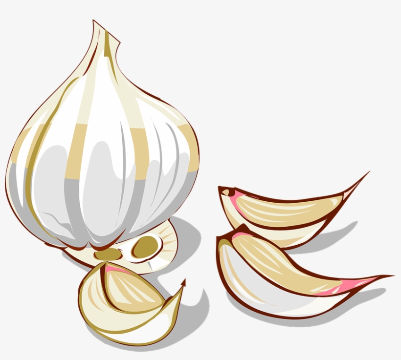 Garlic, Cloves, Clove, Vegetable, Organic, Spice - Garlic Clipart, transparent png #5839121
