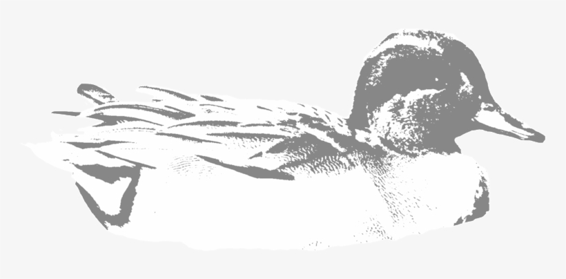 Greenwing - Portable Network Graphics, transparent png #5840048