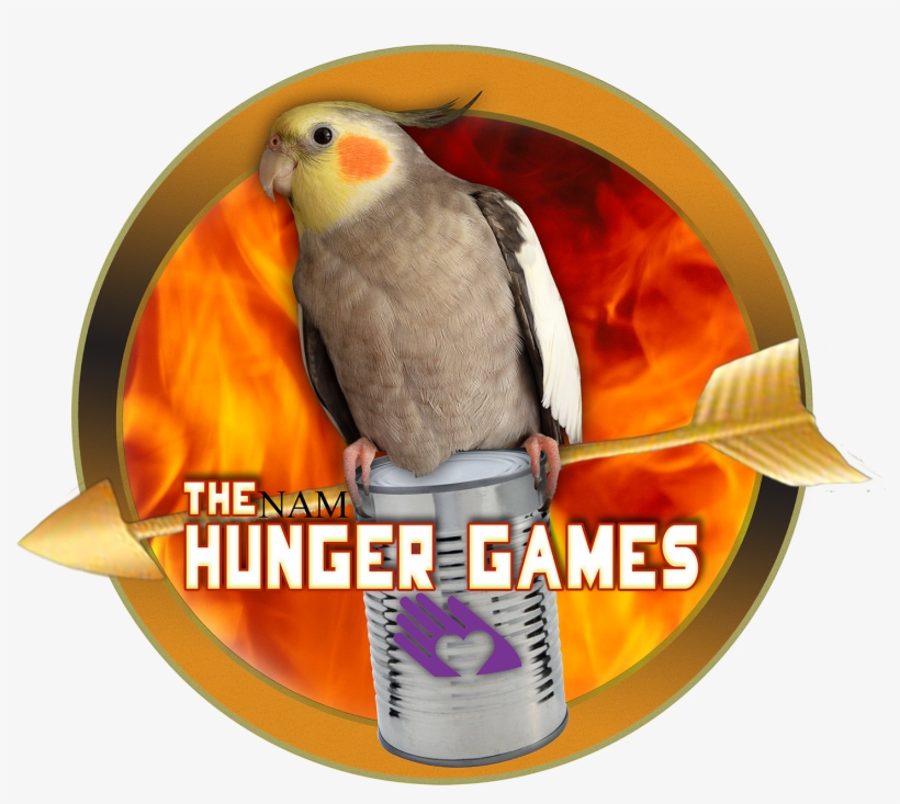 Share This - - Cockatiel, transparent png #5841620