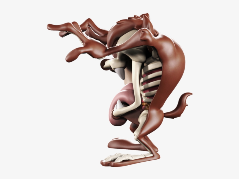 Larger / More Photos - Tasmanian Devil, transparent png #5843344