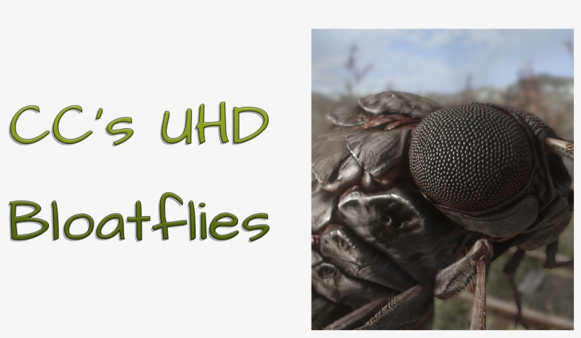 Straight Donations Accepted - House Fly, transparent png #5844031