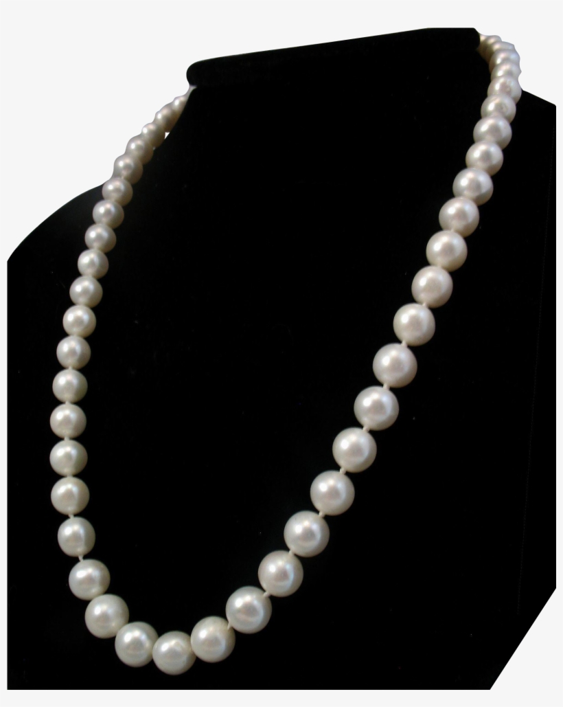 This Strand Of Pearls Measures 18 Inches Long And Is, transparent png #5844088
