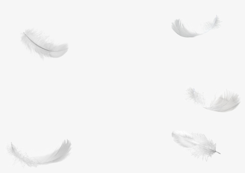 1495816576five Feathers Falling No Background Png - Portable Network Graphics, transparent png #5844190