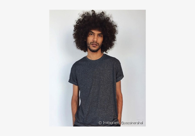 Cabelo Black Power Png, transparent png #5845844