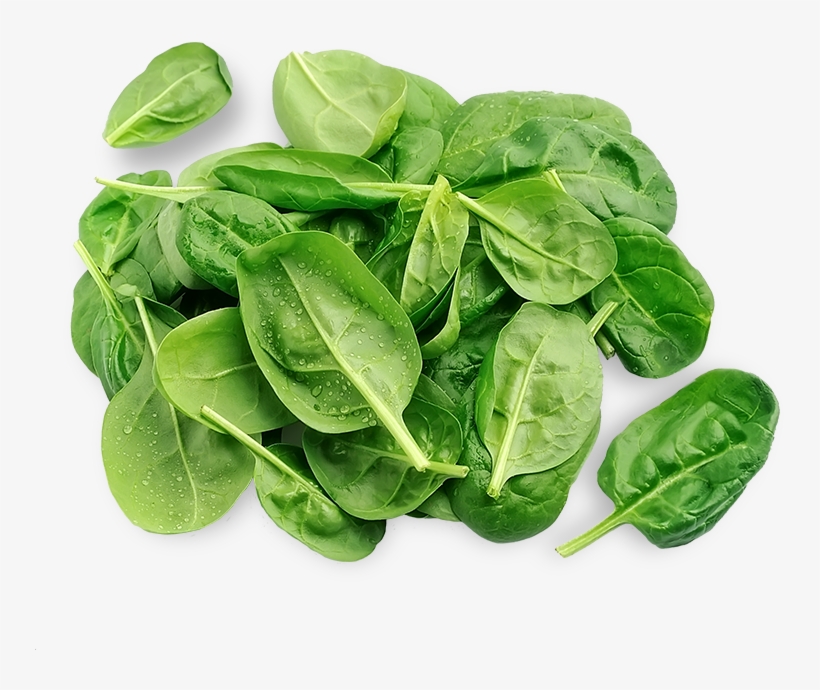 3 - Spinach, transparent png #5847945