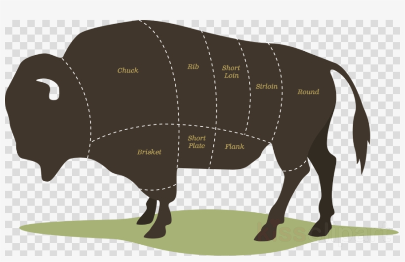 Bison Meat Cuts Clipart American Bison Steak Meat - North Dakota Farm Bison, transparent png #5848003