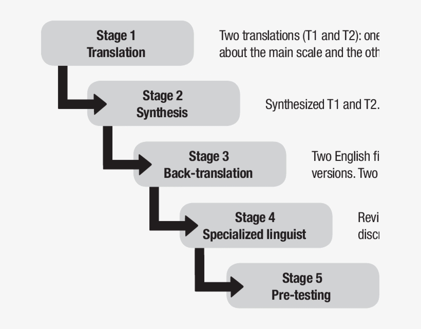 Graphic Representing Stages Of The Cross-cultural Adaptation - Cross Cultural Stages, transparent png #5849071