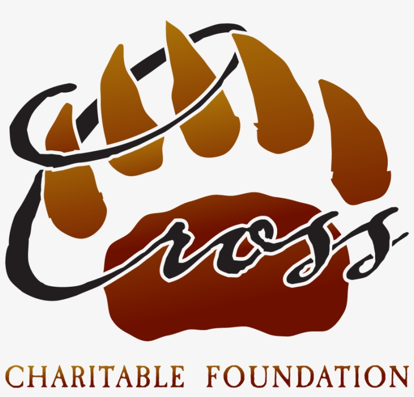 Cross Graphic Png, transparent png #5849432