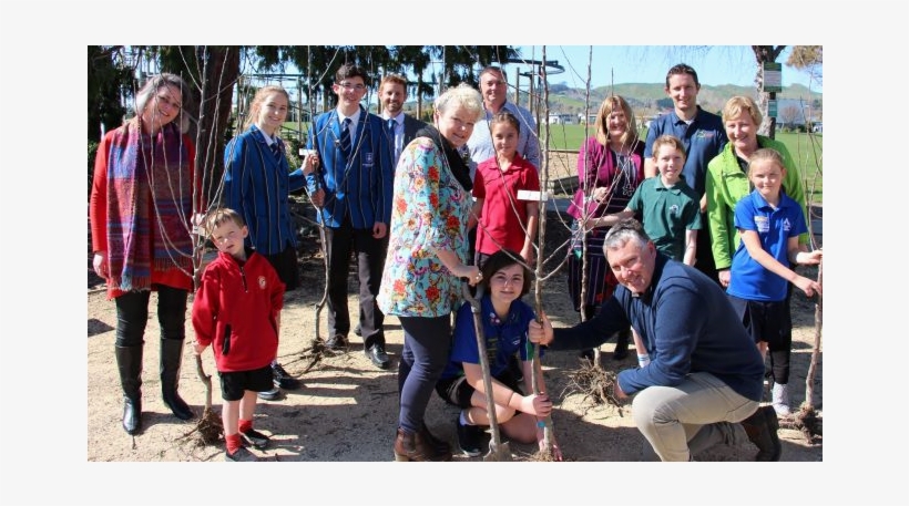 Careers In Apples And Pears - Archery, transparent png #5850126