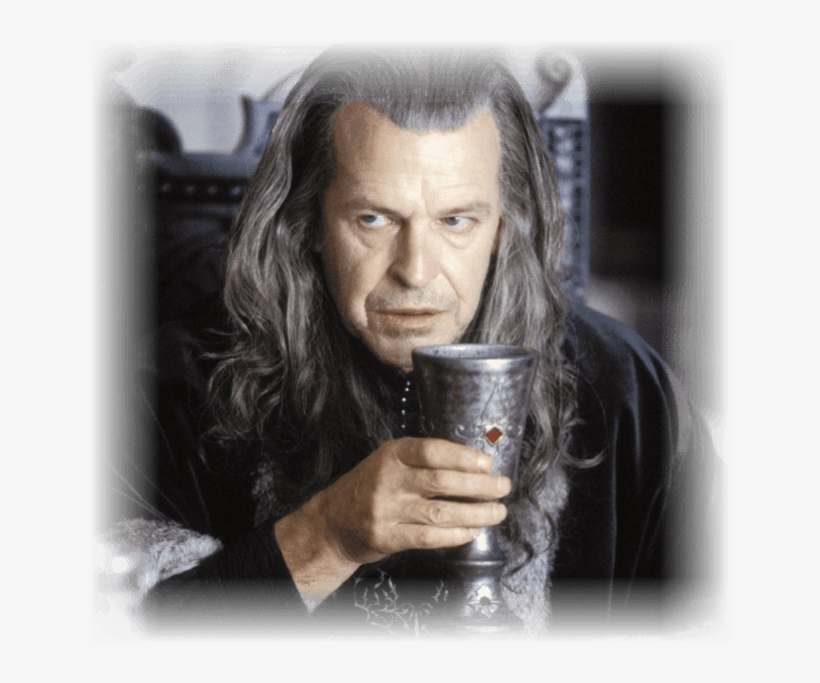 When A Leader Doesn't Lead - John Noble Lord Of The Rings, transparent png #5850551