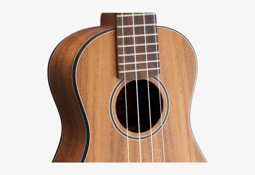 Headstock - Acoustic Guitar, transparent png #5852318