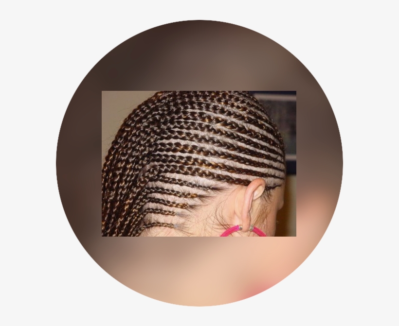 Serv Cornrows - Cornrows, transparent png #5853064