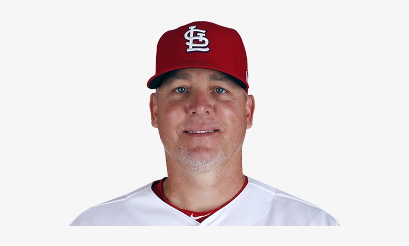 Bill - Cardinals, transparent png #5853121