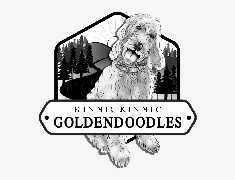 River Falls Wi - Illustration, transparent png #5853566