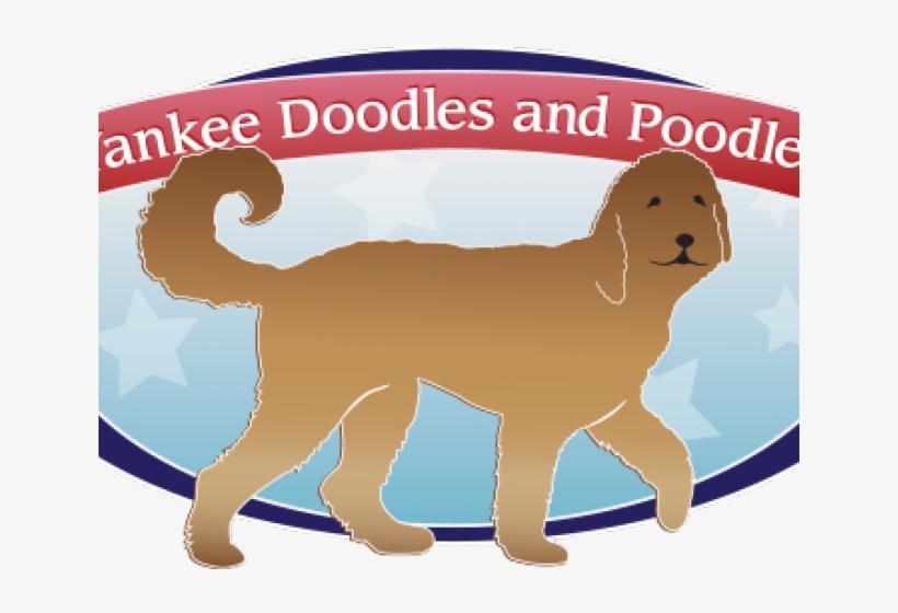 Goldendoodle Clipart Doodle Dog - Goldendoodle, transparent png #5853651