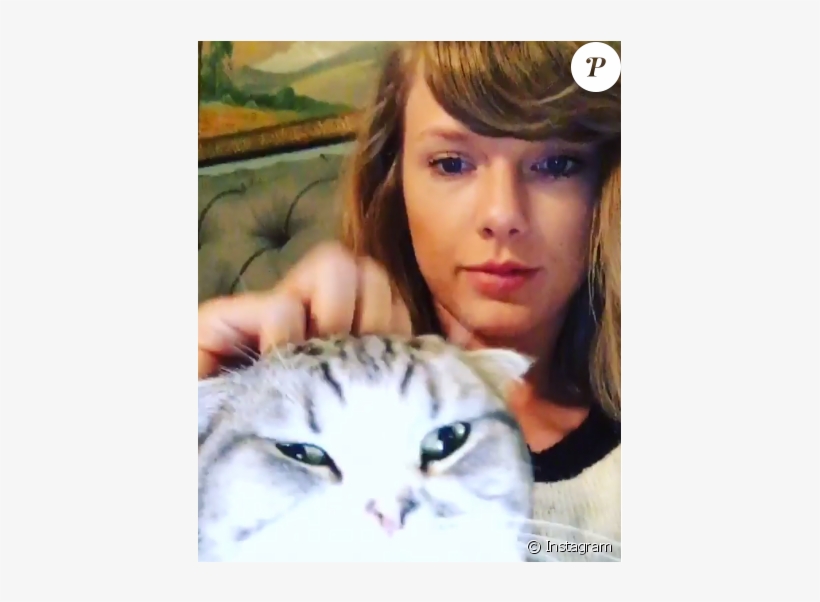 Taylor Swift Caresse Son Chat Meredith Grey - Taylor Swift, transparent png #5854155