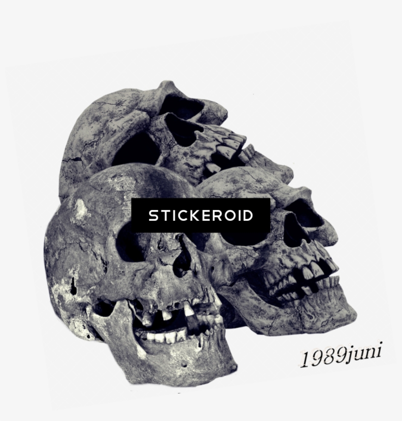 Pile Of Skulls Fantasy Skull - Skull, transparent png #5854442