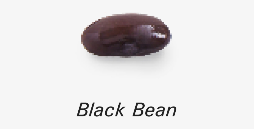 We Also Believe That Our Beans Are Only As Good As - Ganache, transparent png #5854444