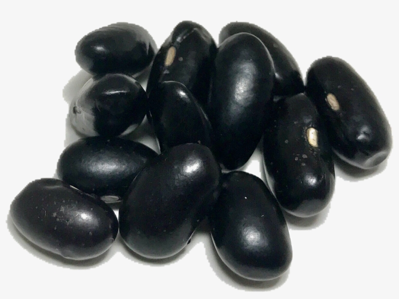 Bean, transparent png #5854504