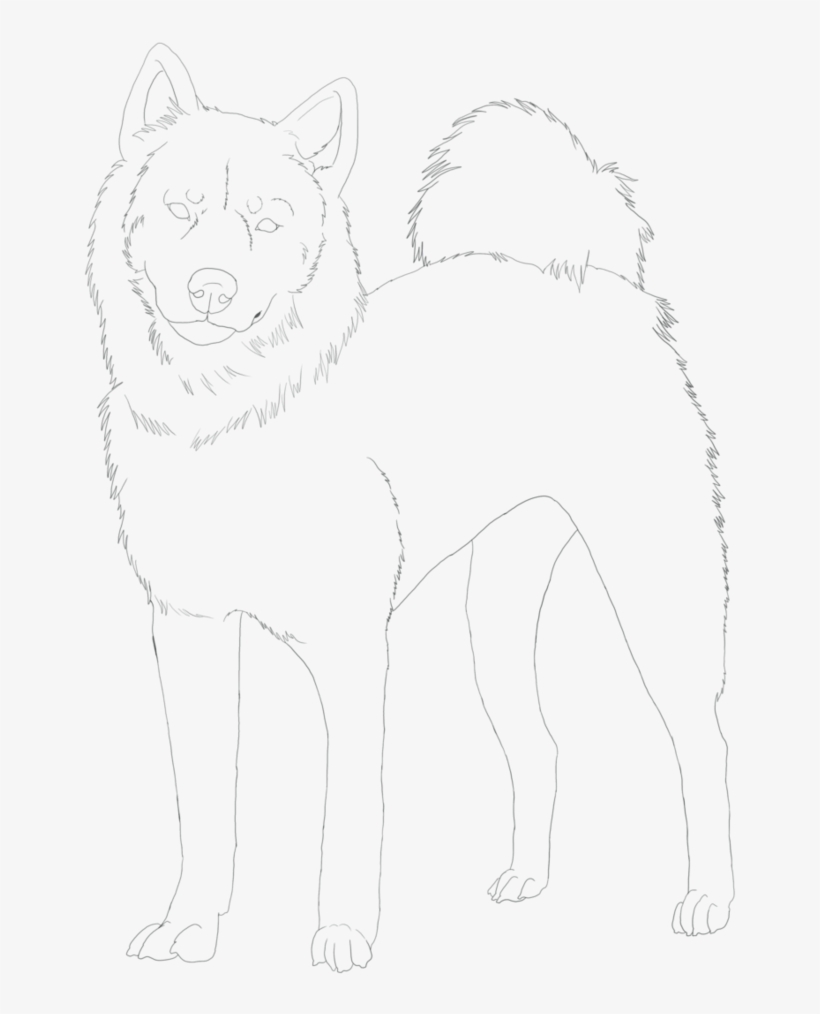 Shiba Inu Line Art - Line Art, transparent png #5855458