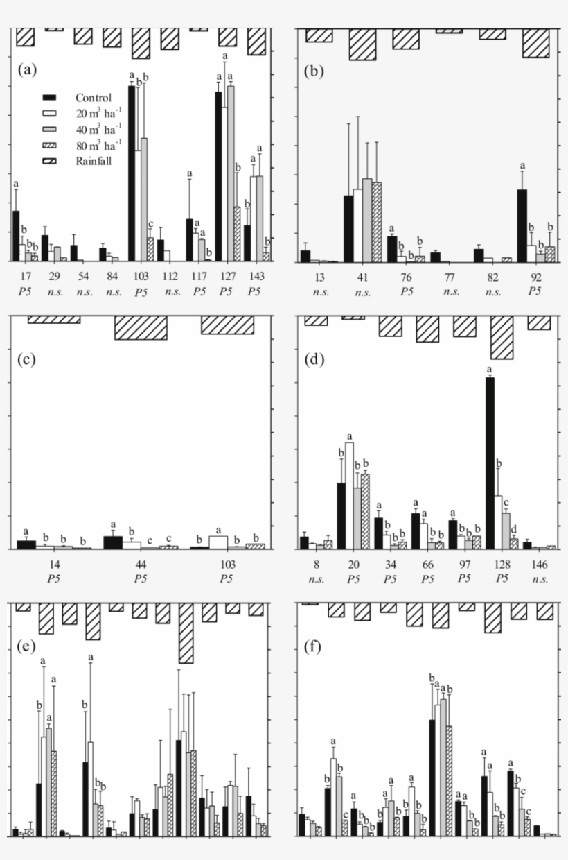 Volume Of Rainfall And Surface Runoff Solution For - Metropolitan Area, transparent png #5855685