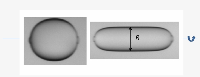 Droplets - Monochrome, transparent png #5857582