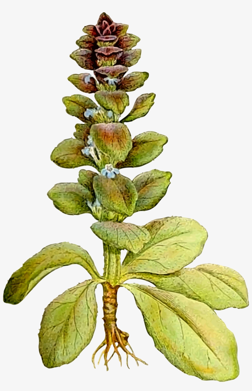 This Free Icons Png Design Of Pyramid Bugle, transparent png #5861338