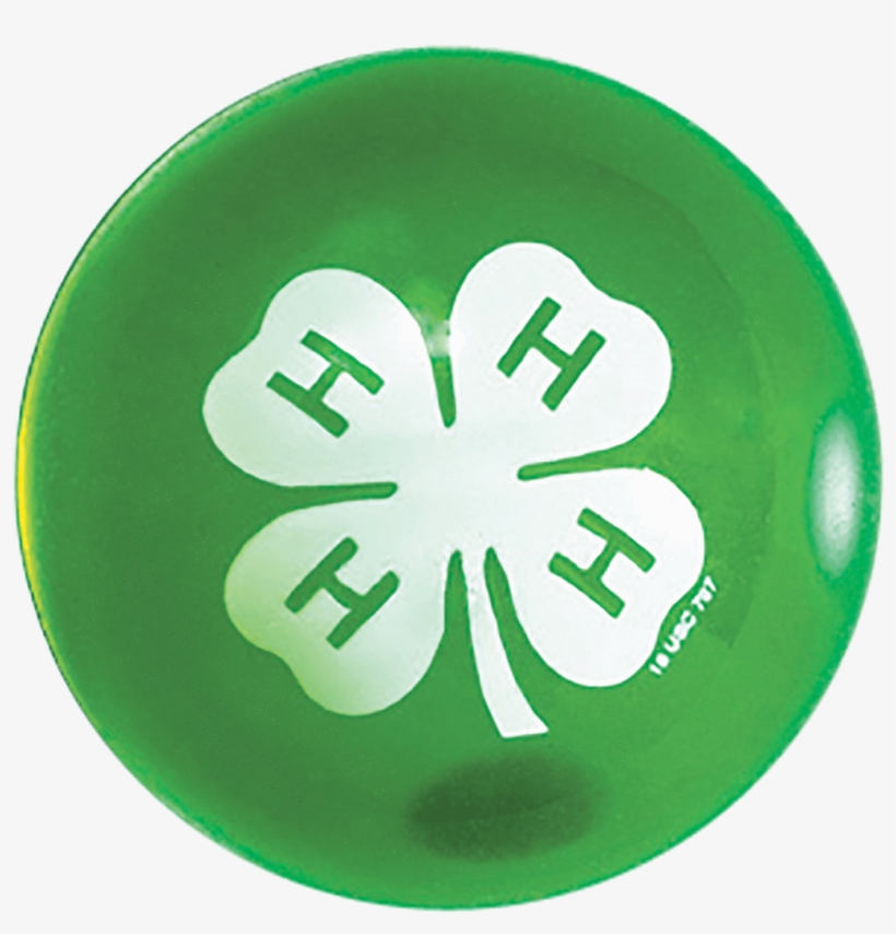 4-h Super Bouncy Ball - 4 H Ambassadors, transparent png #5862162