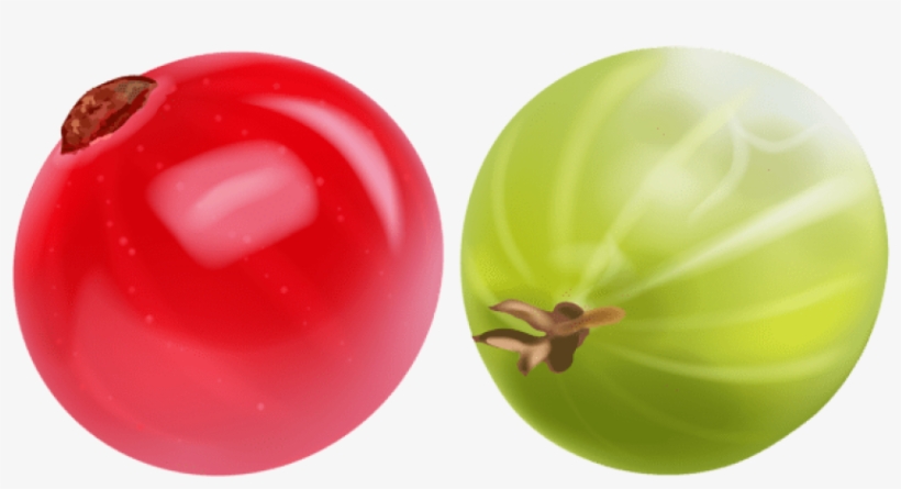 Free Png Images - Gooseberry, transparent png #5863138